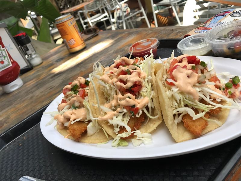 The Fish Tacos Behind All the Buzz The Fish Tacos Behind All the Buzz