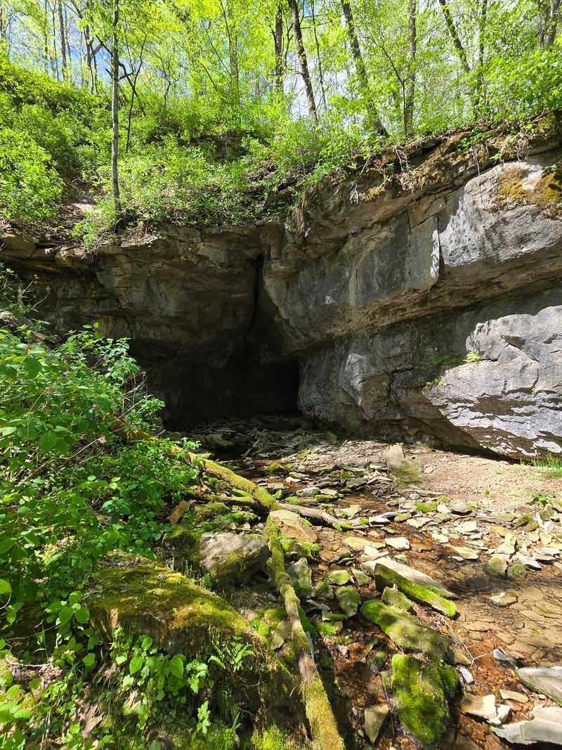 The Hidden Cave Across the Water The Hidden Cave Across the Water