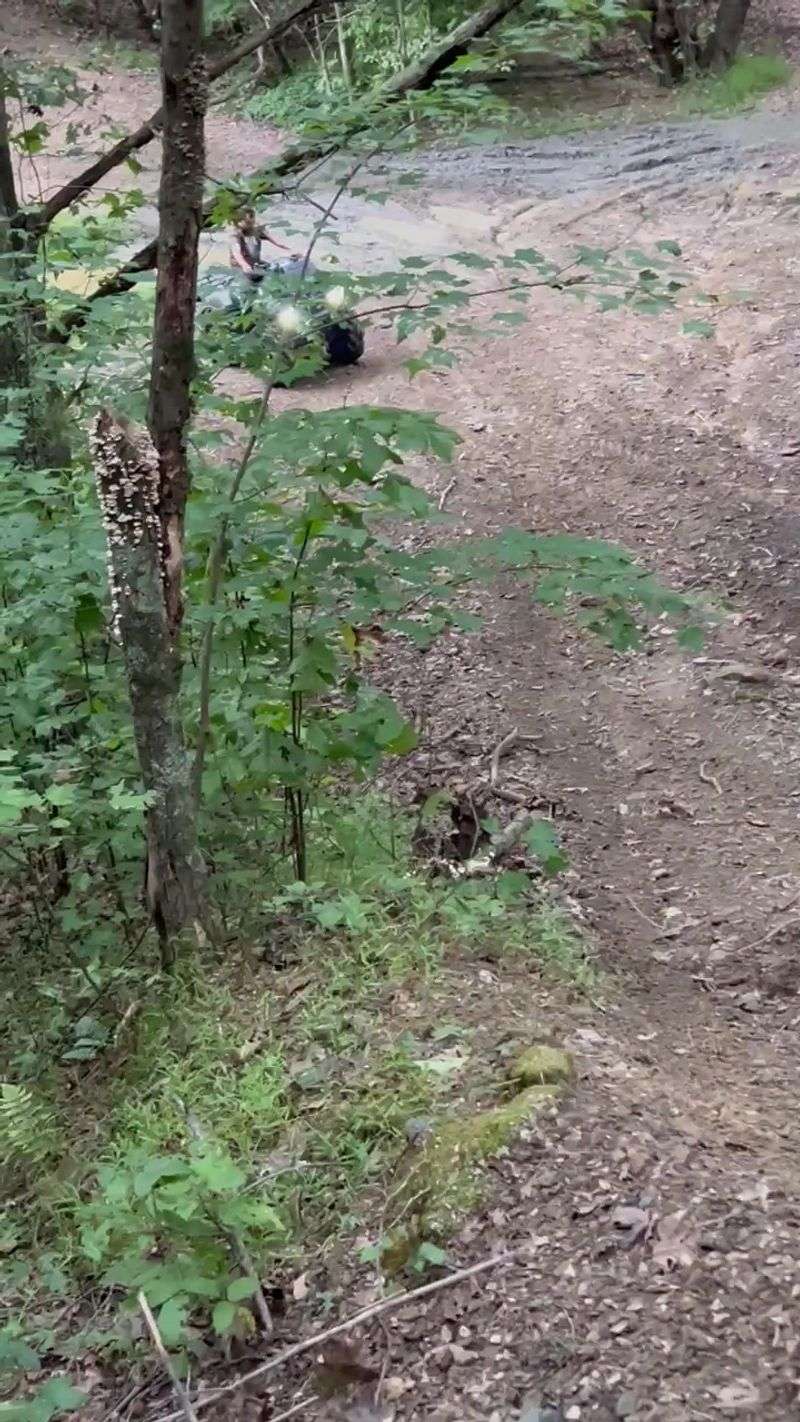 The Hill Climbs Everyone Talks About The Hill Climbs Everyone Talks About