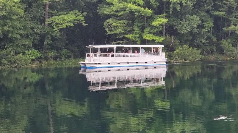The Jungle Cruise Down the River