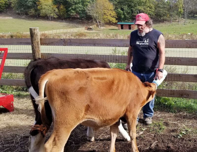 The Man Behind the Rescues