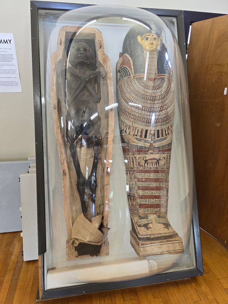 The Mummy Downstairs The Mummy Downstairs