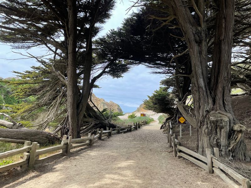 The Narrow Road and the $15 Gate