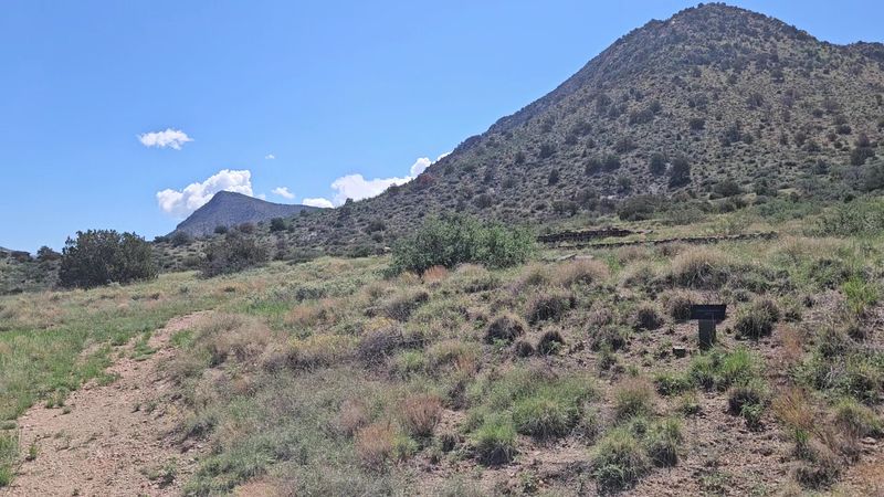 The Overlook Trail Back