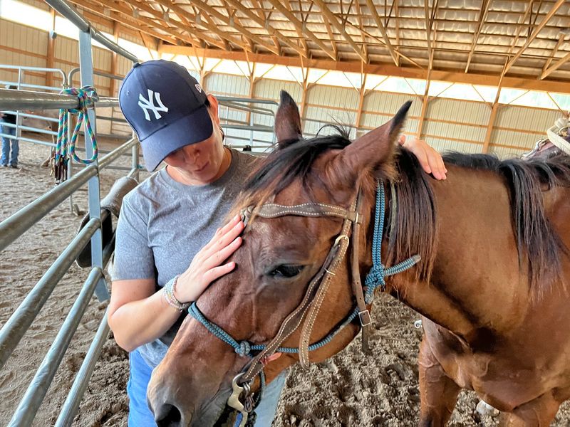 The Owner Who Calls His Horses Family The Owner Who Calls His Horses Family