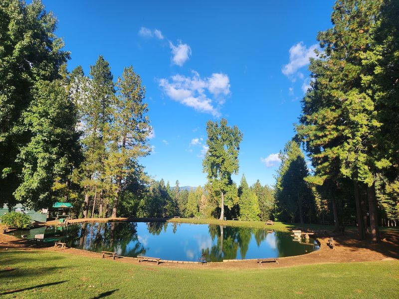 The Pond Everyone Talks About The Pond Everyone Talks About