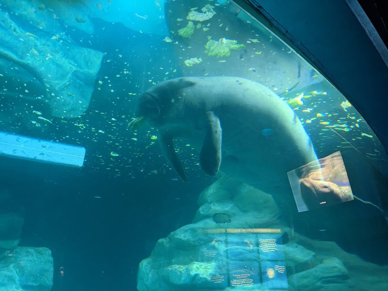 The Seas with Nemo & Friends, Lake Buena Vista, FL