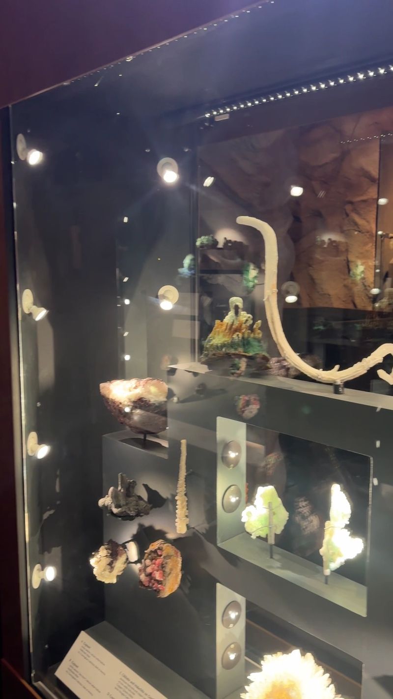 The Smithsonian Connection