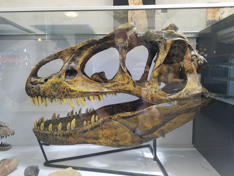 The Story Behind a Cowboy on a T. Rex The Story Behind a Cowboy on a T. Rex