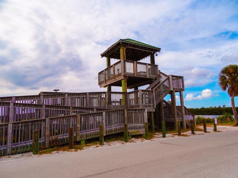 The Tower Where Manatees Steal the Show The Tower Where Manatees Steal the Show
