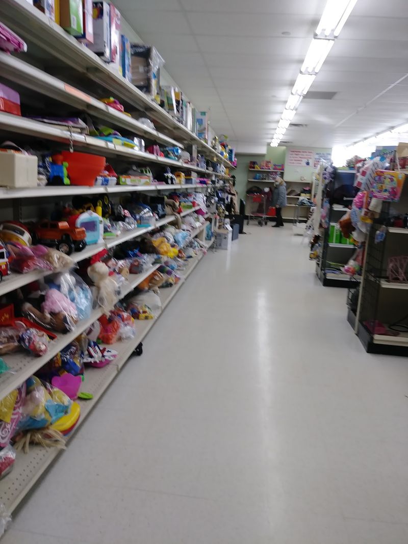 The Toy Zone in the Back The Toy Zone in the Back