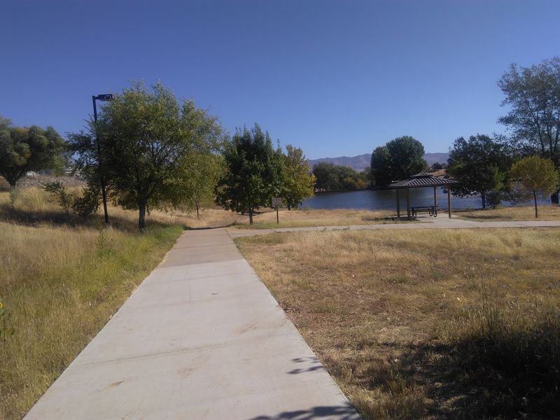 The Urban Forest and Its Duck Pond