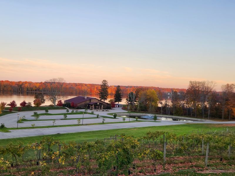 The Vineyards at Pine Lake Tasting Room, Columbiana, OH The Vineyards at Pine Lake Tasting Room, Columbiana, OH