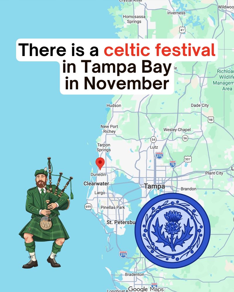 The festival is in Dunedin, not Tampa