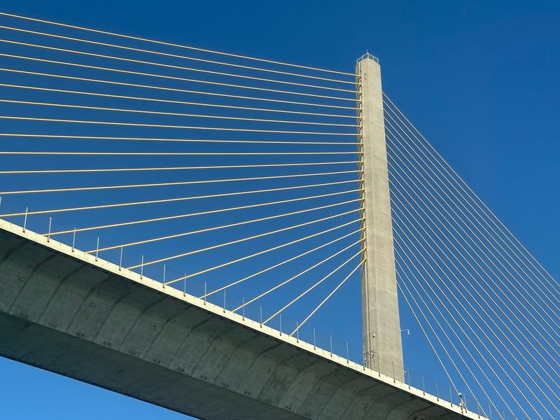 Those Famous Yellow Cables