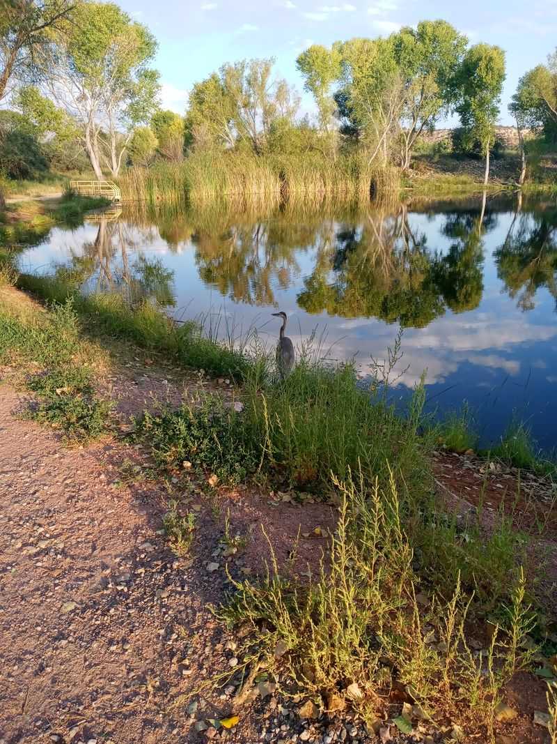 Three Lagoons and a Sandy Loop