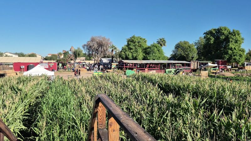 Tolmachoff Farms, Glendale, AZ Tolmachoff Farms, Glendale, AZ