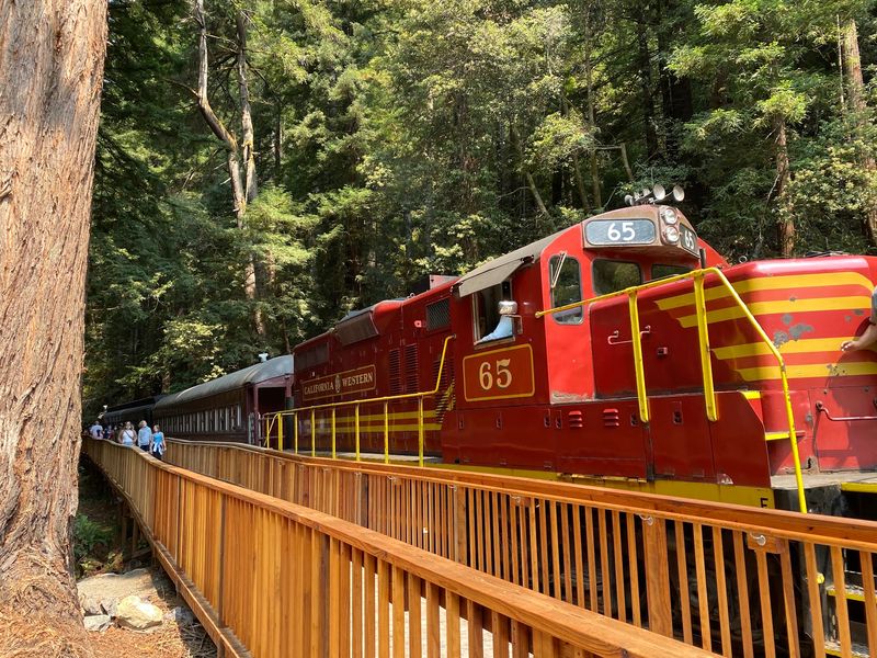 Tracks Along Pudding Creek