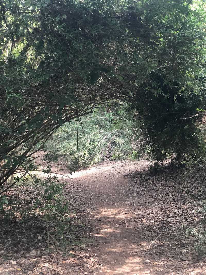 Trailheads and How Long the Walk Takes Trailheads and How Long the Walk Takes