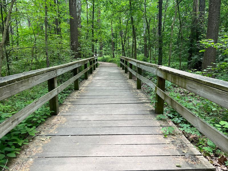 Trails Built for Easy Strolling Trails Built for Easy Strolling