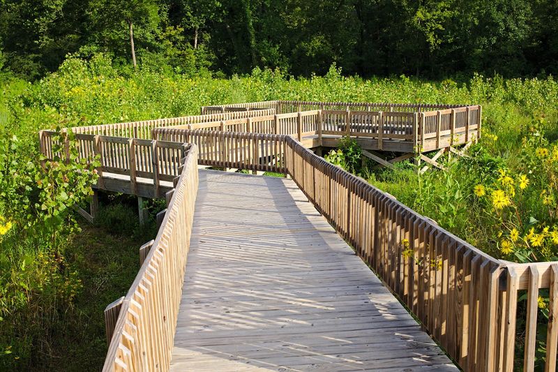 Trails That Change Scenery Every Few Hundred Yards Trails That Change Scenery Every Few Hundred Yards