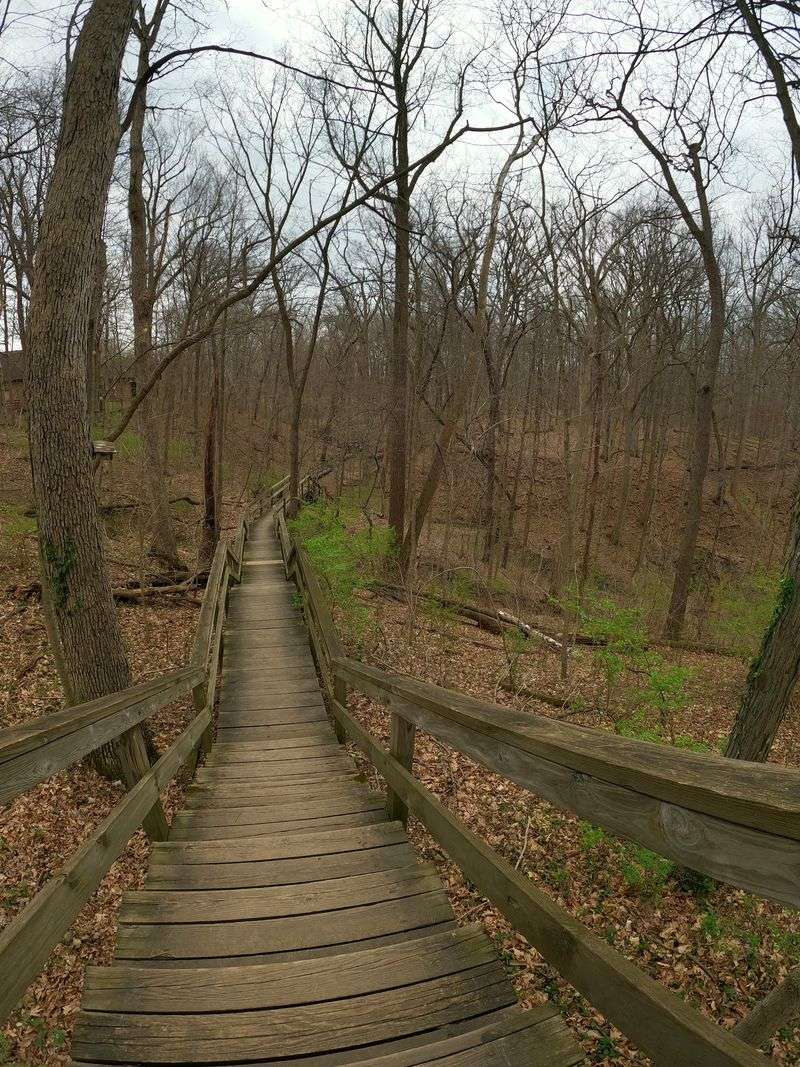 Trails That Cross and Wander Trails That Cross and Wander