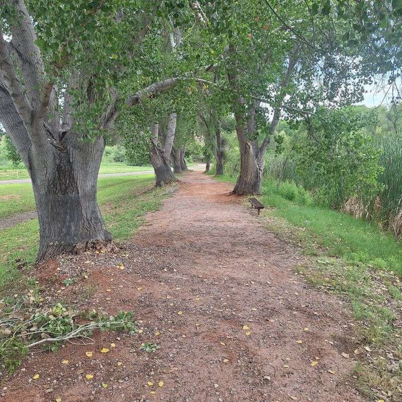 Trails That Follow the River