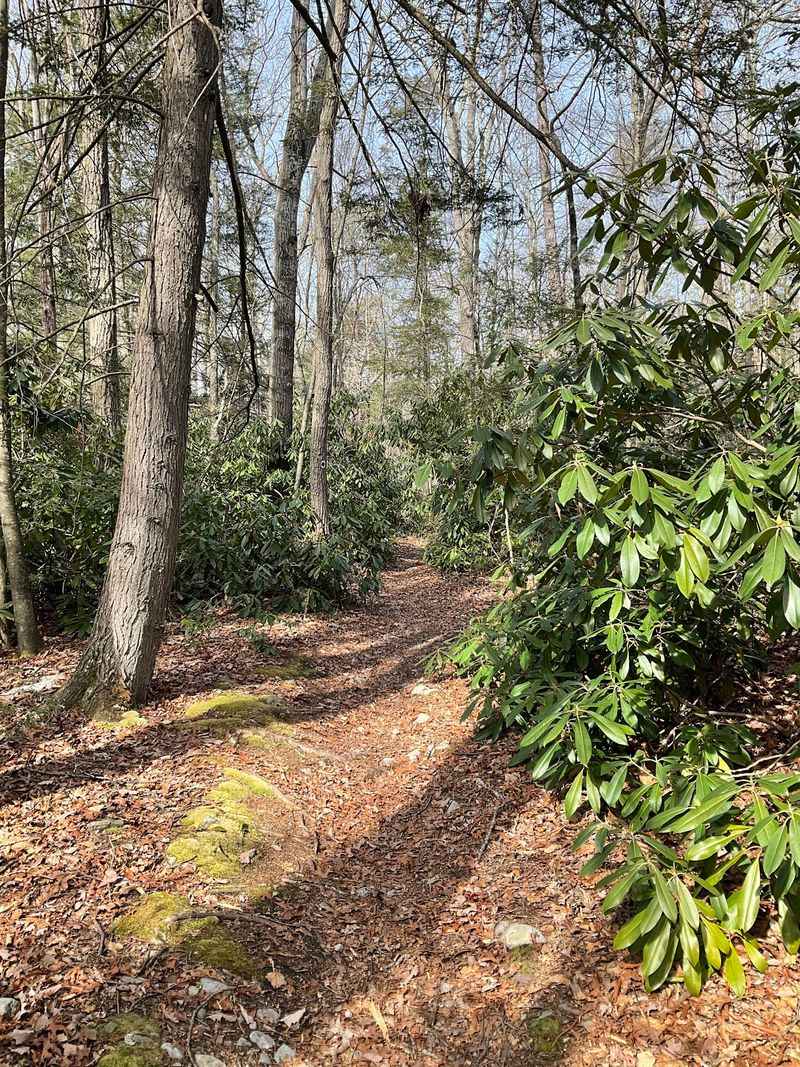 Trails That Keep Going Trails That Keep Going