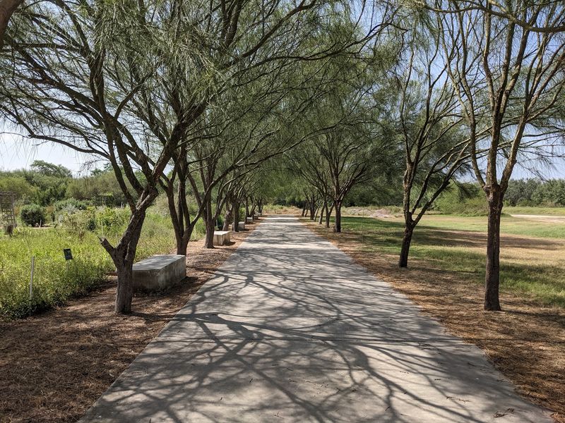 Trails That Reach Toward the River