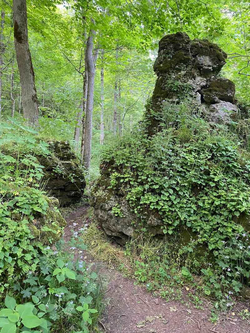 Trails That Surprise Even Seasoned Hikers