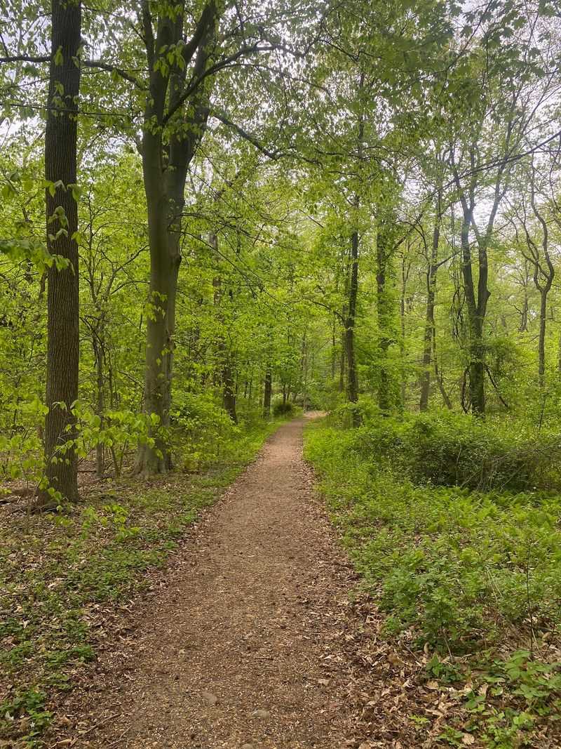 Trails That Wander Off the Map Trails That Wander Off the Map