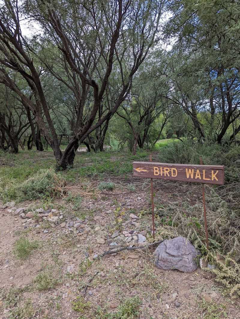 Trails to the San Pedro River