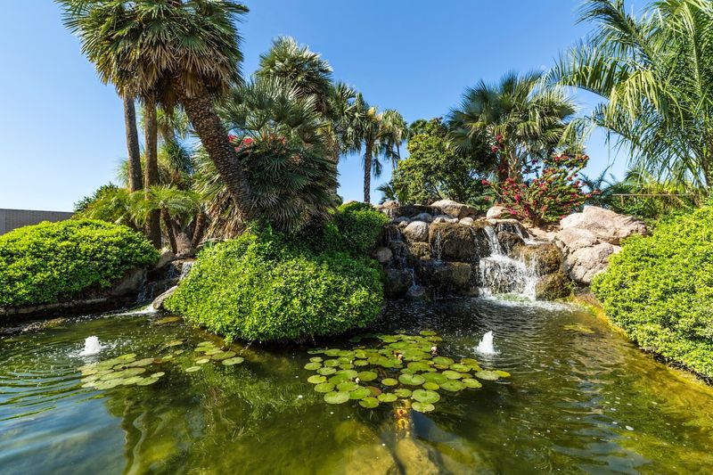 Treeland Nurseries, Inc., Mesa, AZ Treeland Nurseries, Inc., Mesa, AZ