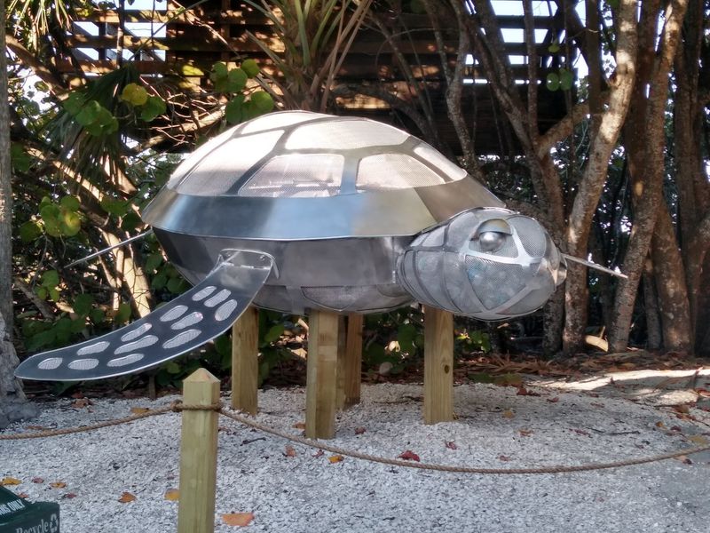 Turtle Nesting Season and Beach Manners Turtle Nesting Season and Beach Manners