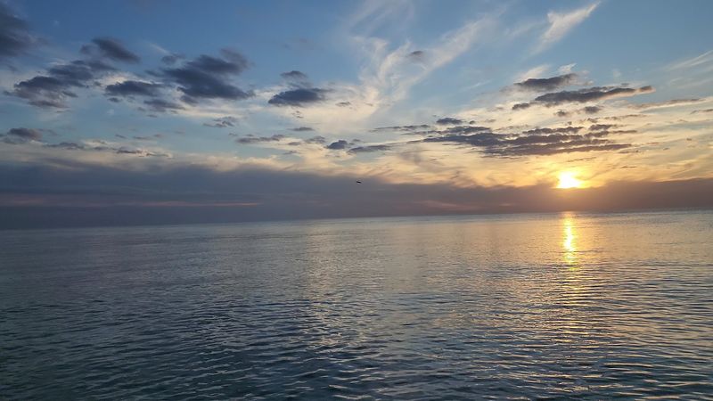 Venice Beach, Venice, FL Venice Beach, Venice, FL