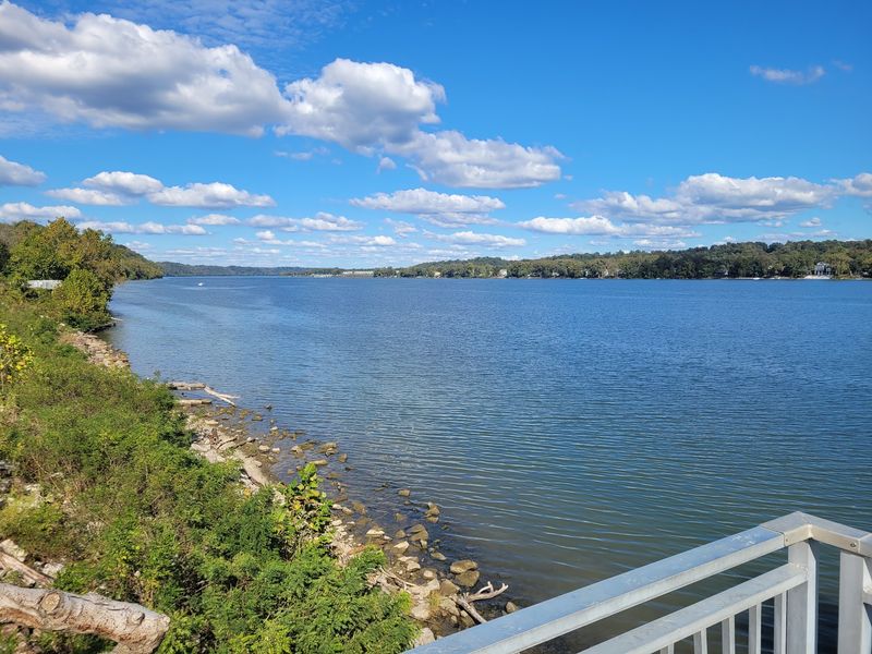 Views and Birds Along the Water