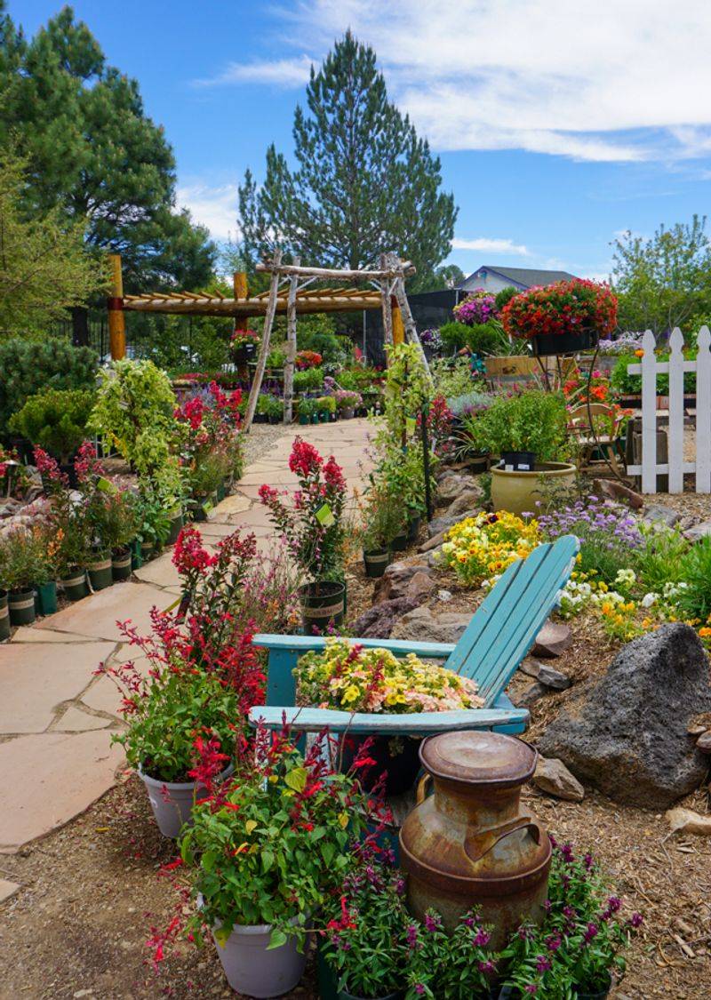 Viola's Flower Garden, Flagstaff, AZ Viola's Flower Garden, Flagstaff, AZ