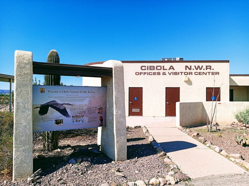 Visitor Center Displays and a Free Scope