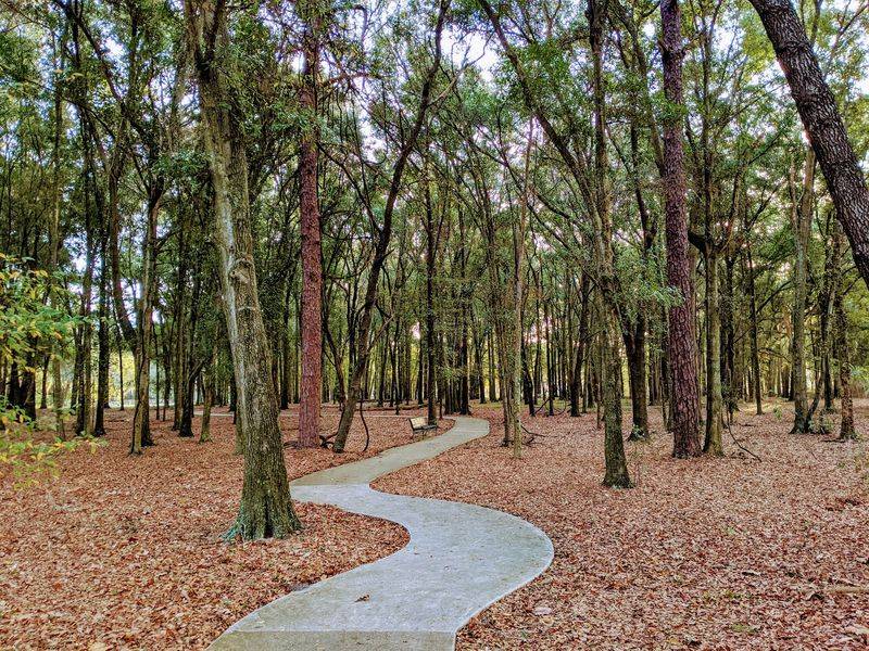 Walking the Labyrinth