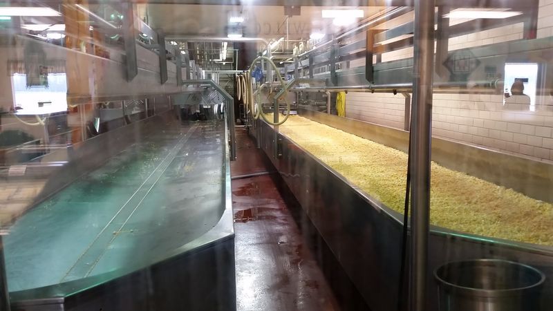 Watching the Cheese Makers at Work