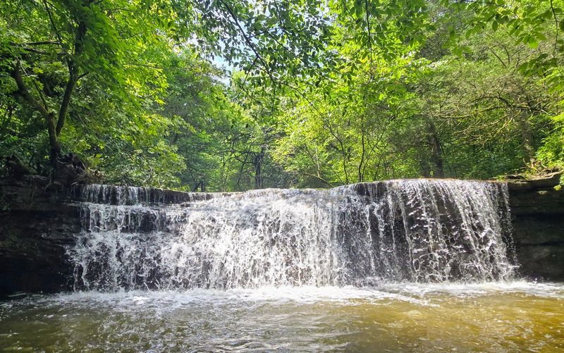 Waterfall and Wildflower Walks