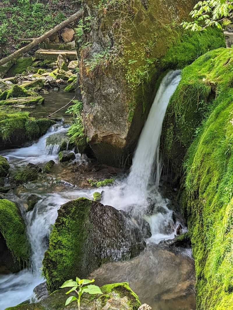 Waterfalls on the Left Fork Waterfalls on the Left Fork