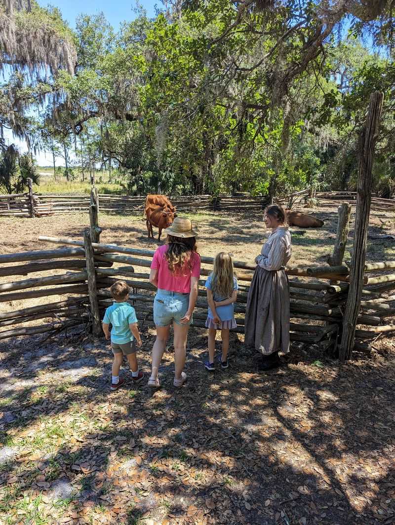 Where Cow Hunters Once Rode