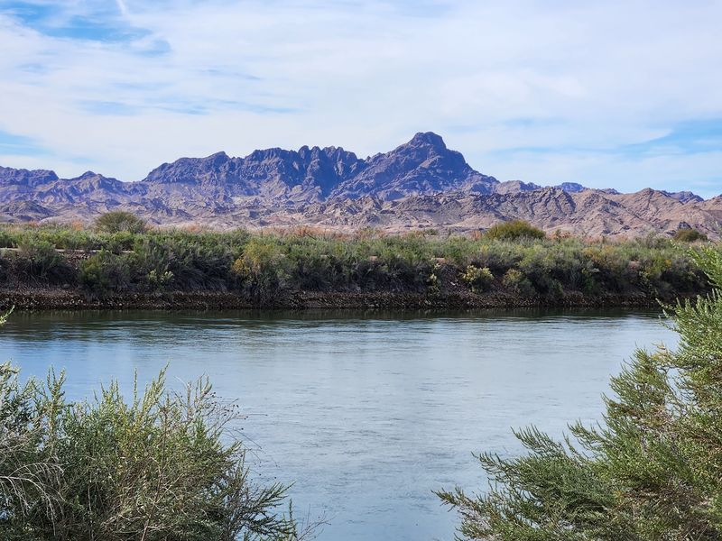 Where Desert Meets River