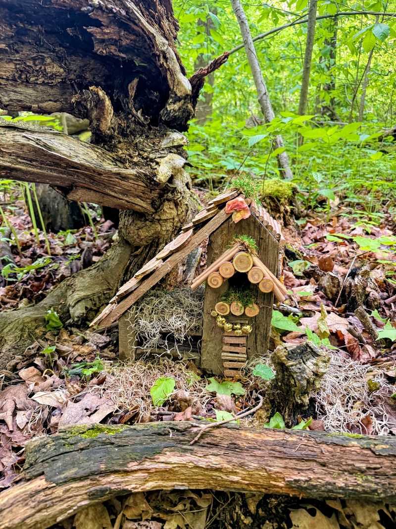 Where Fairies Set Up Shop Where Fairies Set Up Shop