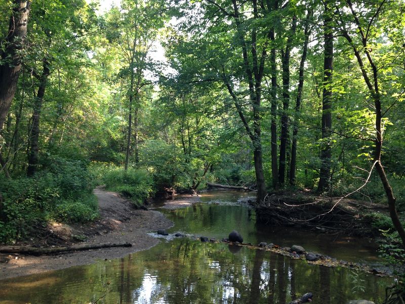 Where the Creek Meets the Trail Where the Creek Meets the Trail