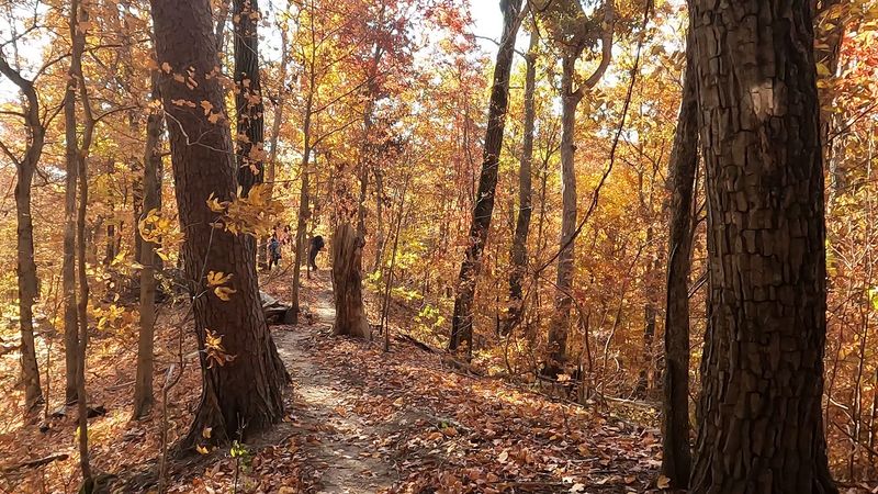 Where the Toughest Trail Begins Where the Toughest Trail Begins
