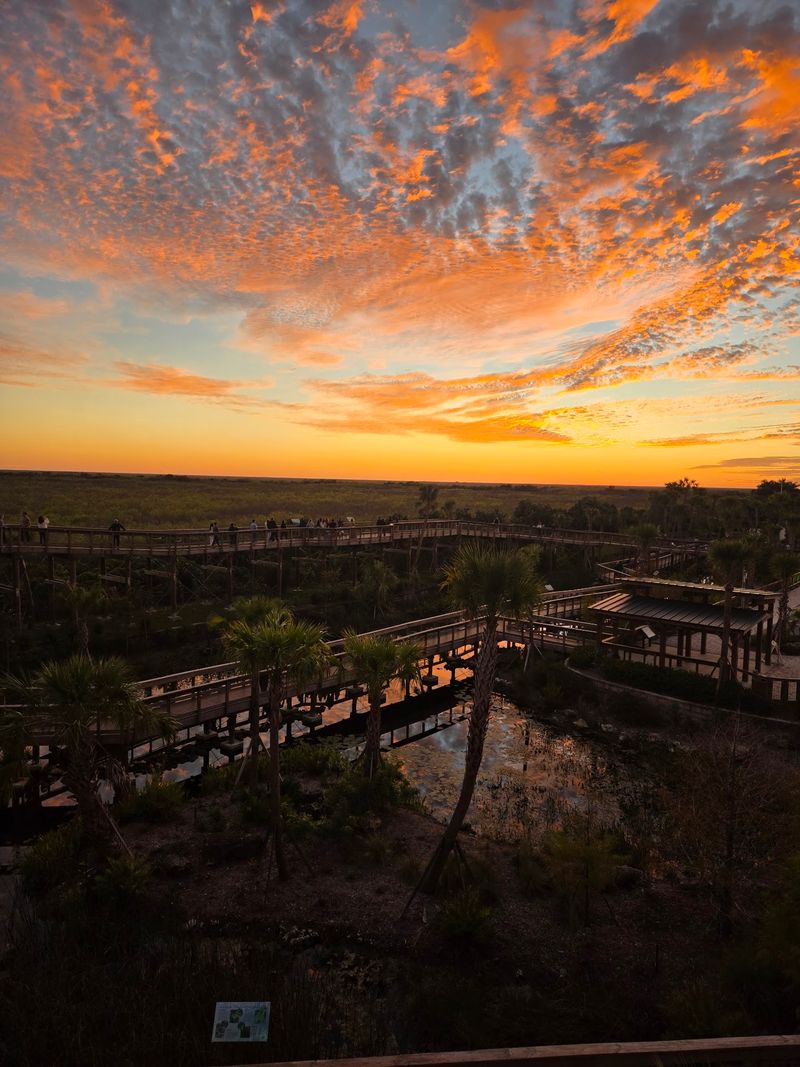 Why Sunset Steals the Show Why Sunset Steals the Show