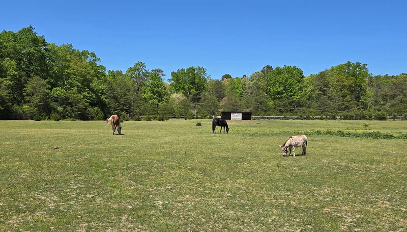 Why This Farm Earns a Return Trip Why This Farm Earns a Return Trip