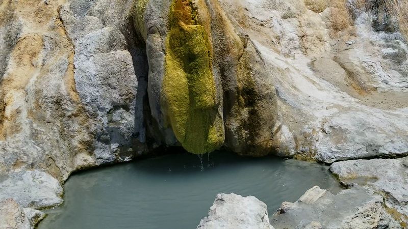Wild Water Comes With Quirks Wild Water Comes With Quirks